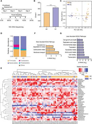 Disrupted diurnal oscillations of the gut microbiota in patients with alcohol dependence